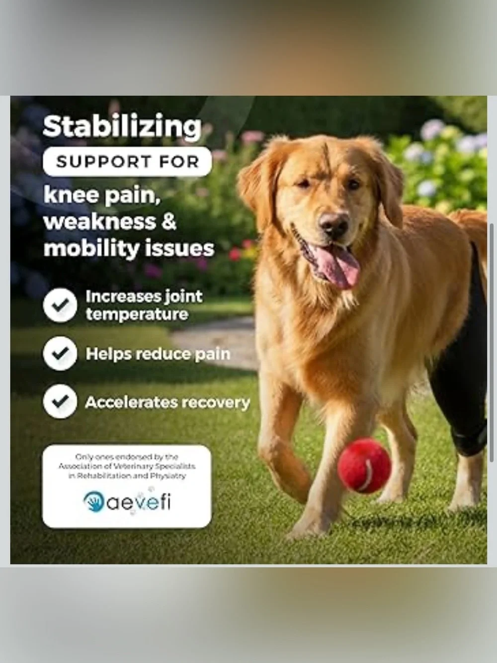 Ortocanis Dog Knee Brace for Hind Leg Support – Flexible Neoprene Knee Brace
